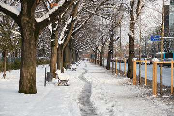 Sidewalk in Bucharest, Romania, covered with snow, and a narrow footpath pointing ahead, framed by...