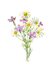 A small bouquet of watercolor wild daisies and carnations .For congratulations, invitations, weddings, anniversaries, birthday