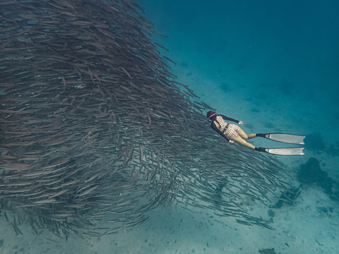 Young female free diver swims with a massive school of pelican barracudas in Siquijor Island, Philippines.