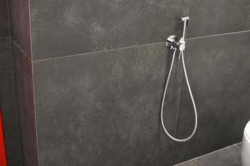 Modern home bathroom interior design with chrome shower head for toilet or bidet. Luxury white...