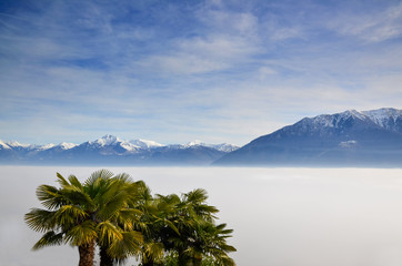 Fototapeta na wymiar Aerial View over Cloudscape and Snow-capped Mountain with Palm Trees in a Sunny Day in Ticino, Switzerland.