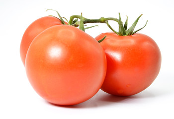 tomatoes isolated on white background