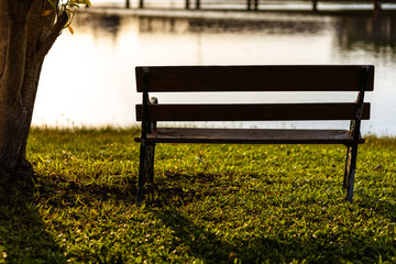 A bench on grass  near tree and water in the parks at sunset.