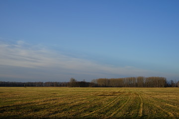Obraz premium Sonnige Feldbrache bei Lübbenau im Spreewald