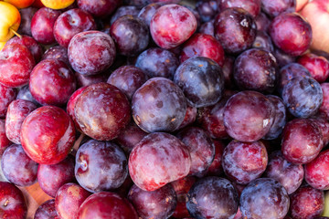 food fruit plums. Texture background of fresh blue plums.
