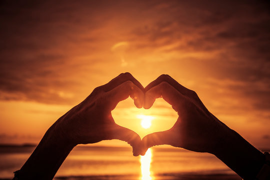 Die 24 Besten Bilder Stock Fotos Und Vektorgrafiken Zu Menschliche Hande Adobe Stock