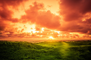 Dünenlandschaft bei Blåvand Strand, Dänemark