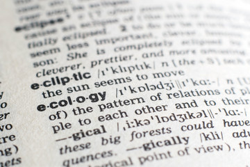 Fototapeta premium A close-up on a word Ecology in English dictionary (selective focus)