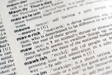 A close-up on a word Maverick in English dictionary (selective focus)