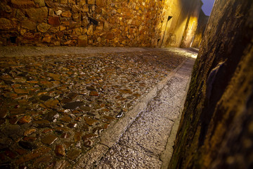 Intramural street of the old part of Caceres after the rain at night