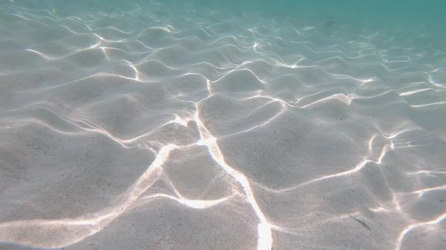 Des fonds sablonneux de la mer m&eacute;diterran&eacute;e