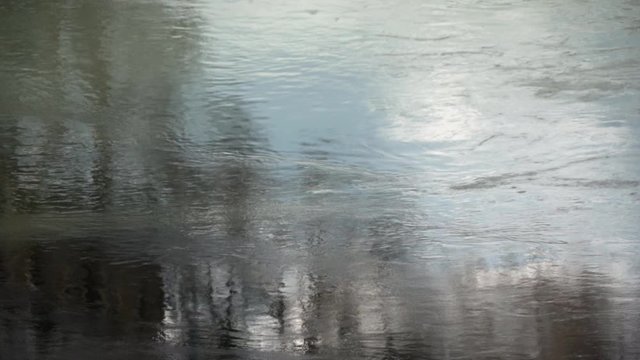 Roma, Italia. Fiume Tevere. Riflessi nell'acqua