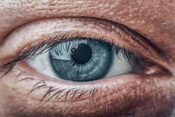 The man's eye is close-up. Blue eye macro photo.