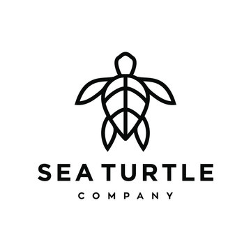 sea turtle logo icon design illustration in trendy minimal line outline style isolated on white background