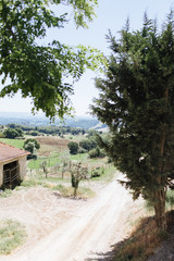 road on the background of the Tuscan landscape