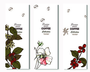 Coffee illustration. Hand drawn vector banner. Coffee beans,  bag, branch, cup