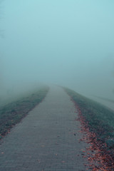walkway on a foggy day with grass on the sides and white sky