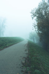 walkway on a foggy day with grass on the sides and white sky