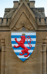 Shield with a crowned red lion. Lesser coat of Arms of the Duchy of Luxembourg.