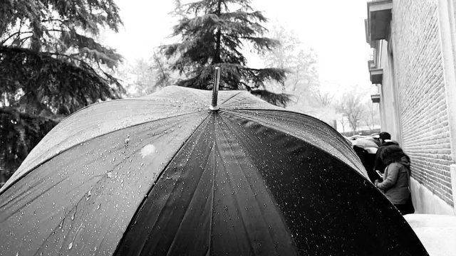 Lluvia cayendo sobre un paraguas
