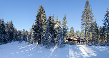 Wooden cottage in a resort village in a winter, sunlit forest among  fir trees. Panoramic shot