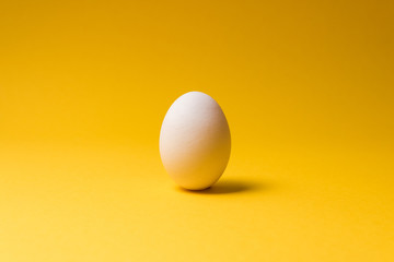 one egg in center of yellow background with dramatic light. design idea