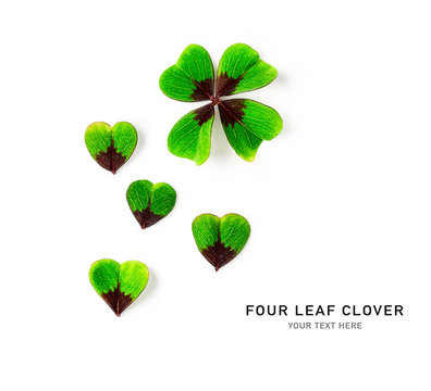 Green Four Leaf Clover Creative Composition