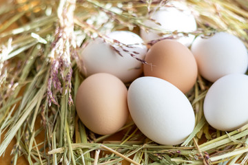 White and brown raw chicken eggs lie in a straw nest