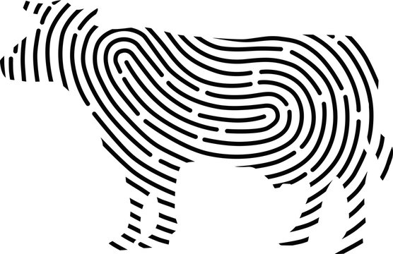 Digital Fingerprint. Product Tracing. Beef. Vector Graphic.