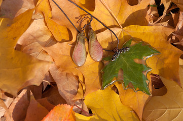 handmade epoxy resin jewelry. maple seeds earrings. maple leaf pendant. natural habitat. autumn.