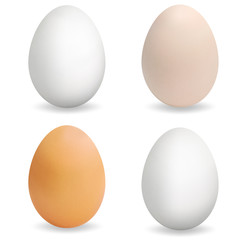 Realistic multi-colored eggs. Set of 3d eggs