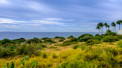 Fototapeta na wymiar landscape with trees and blue sky by ocean