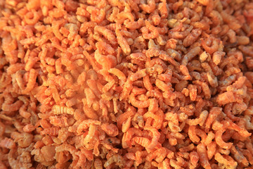 Piles of dried shrimp