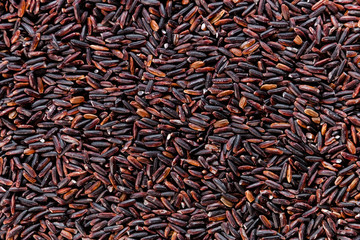 Black wild rice close-up background texture top view, selective focus