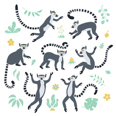 Cute funny ring-tailed lemurs and tropical plants. Exotic Lemur catta. Set of vector illustrations in cartoon and flat style isolated on white background © Elena Pimukova