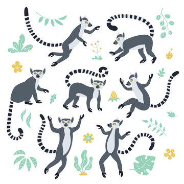 Cute funny ring-tailed lemurs and tropical plants. Exotic Lemur catta. Set of vector illustrations in cartoon and flat style isolated on white background