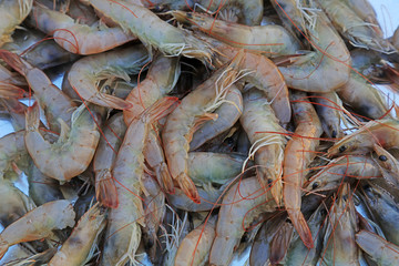 Piles of frozen prawns