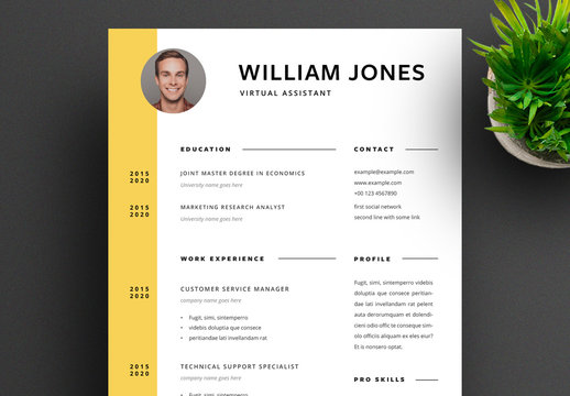Resume Layout with Timeline Bar and Mimosa Accent