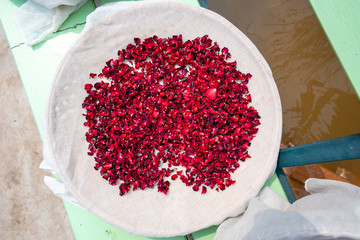 Herb flower concept, red rose flower dry on sunny on white straining cloth fabric background, small...