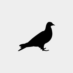 bird icon vector illustration and symbol for website and graphic design