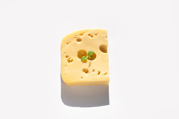 Creative cheese with sunlight shadow on a white background flat lay. Healthy breakfast sandwich concept, calcium rich dairy food, top view,copy space. Yellow delicious snack with holes and green leaf.