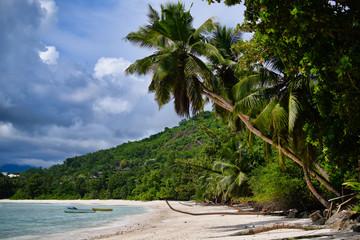 Ocean waves and palm trees. Baie Lazare beach Mahe Island Seychelles.