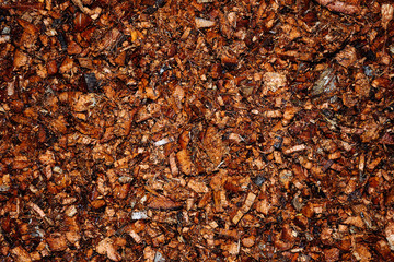 Natural chopped coconut peel background. Ingredient for organic fertilizer. Concept of agriculture and natural Fertilizer Recipes.