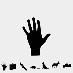 hand icon vector illustration and symbol for website and graphic design