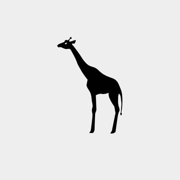 giraffe icon vector illustration and symbol for website and graphic design