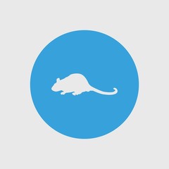 rat icon vector illustration and symbol for website and graphic design