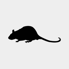 rat icon vector illustration and symbol for website and graphic design