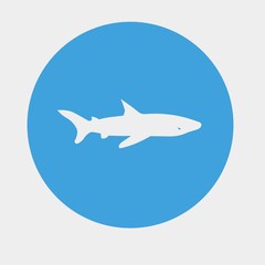 shark icon vector illustration and symbol for website and graphic design