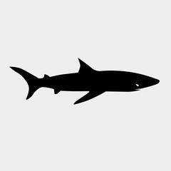 shark icon vector illustration and symbol for website and graphic design