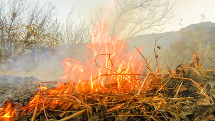 the fire burns dry leaves visible ash and smoke. autumn cleaning